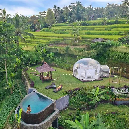 Romantic Bubble Dome Hotel